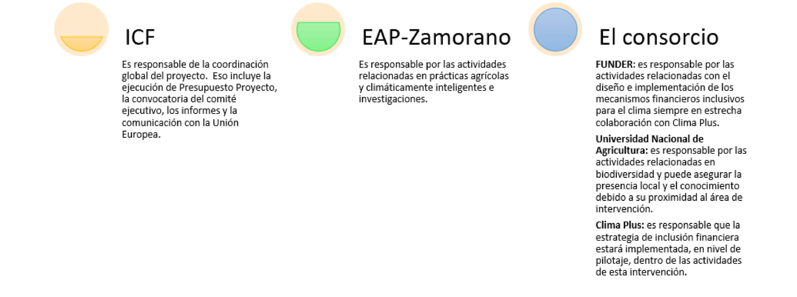 el consorcio